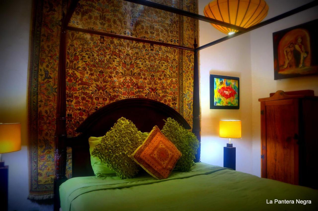 La Pantera Negra Bed & Breakfast Merida Exterior photo