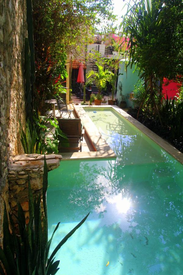 La Pantera Negra Bed & Breakfast Merida Exterior photo