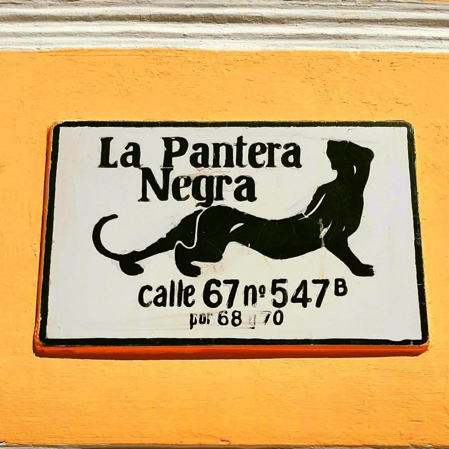 La Pantera Negra Bed & Breakfast Merida Exterior photo