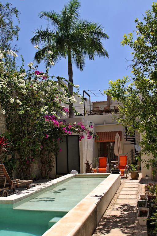 La Pantera Negra Bed & Breakfast Merida Room photo