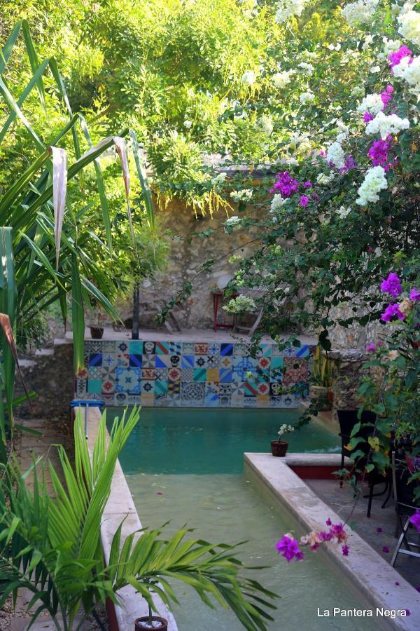 La Pantera Negra Bed & Breakfast Merida Exterior photo