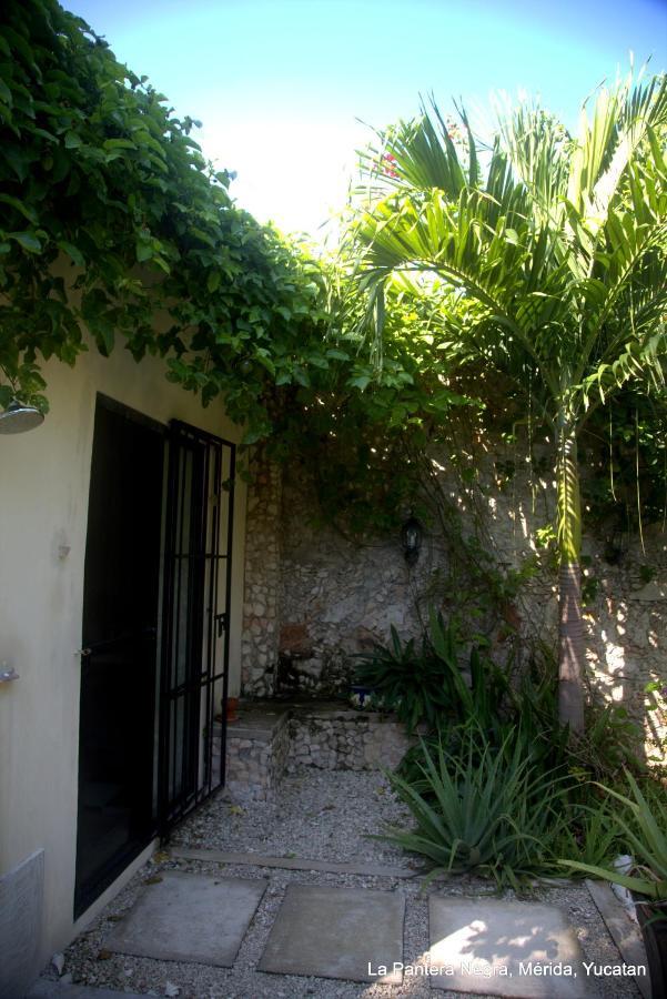 La Pantera Negra Bed & Breakfast Merida Exterior photo