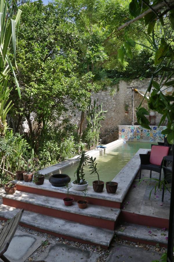 La Pantera Negra Bed & Breakfast Merida Exterior photo