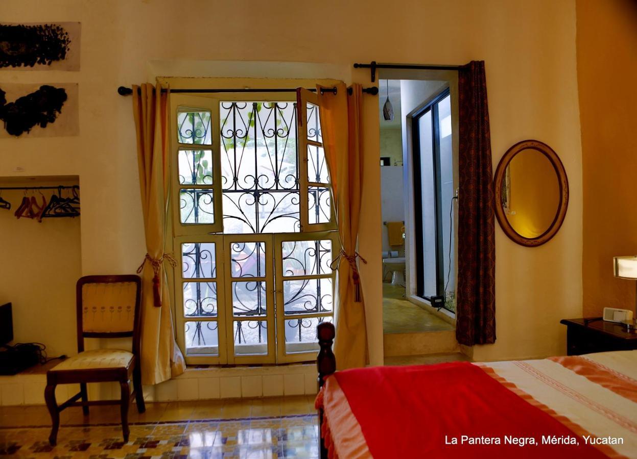 La Pantera Negra Bed & Breakfast Merida Exterior photo
