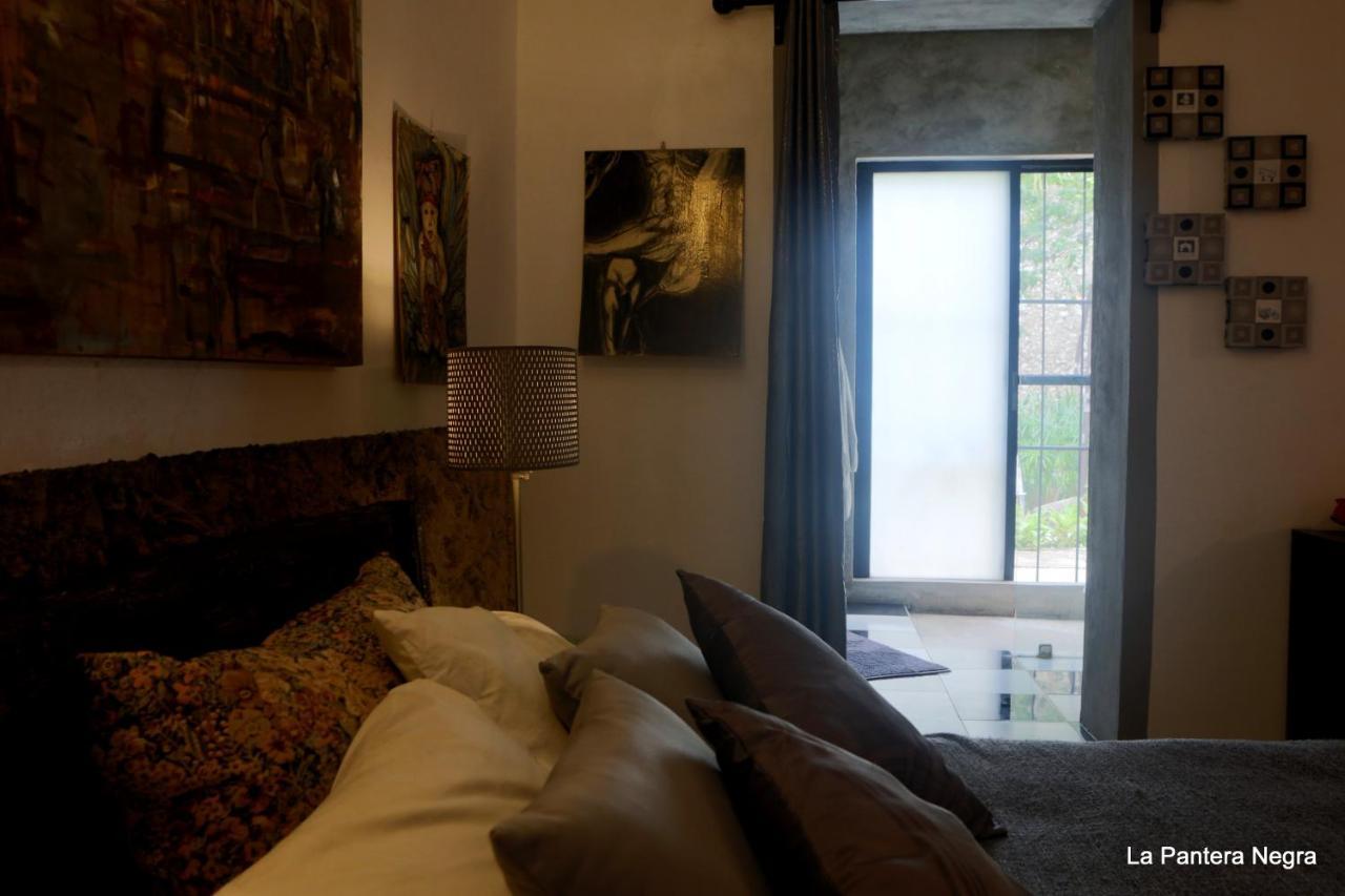 La Pantera Negra Bed & Breakfast Merida Exterior photo