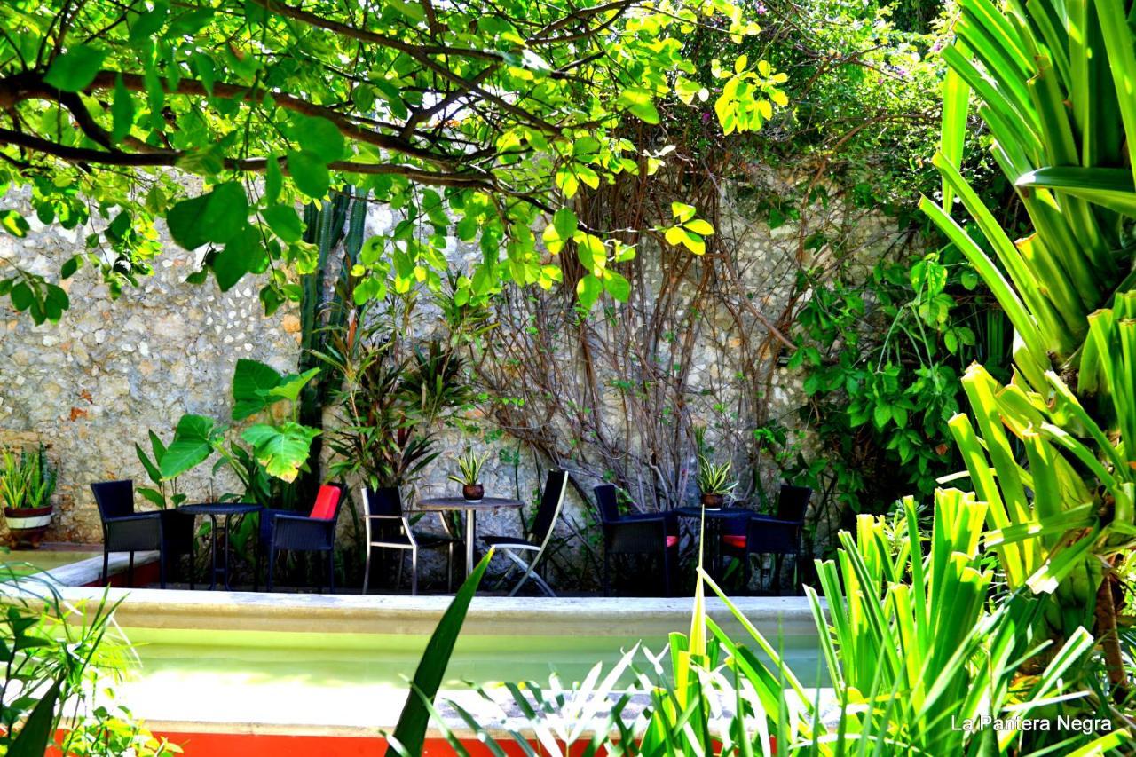 La Pantera Negra Bed & Breakfast Merida Exterior photo