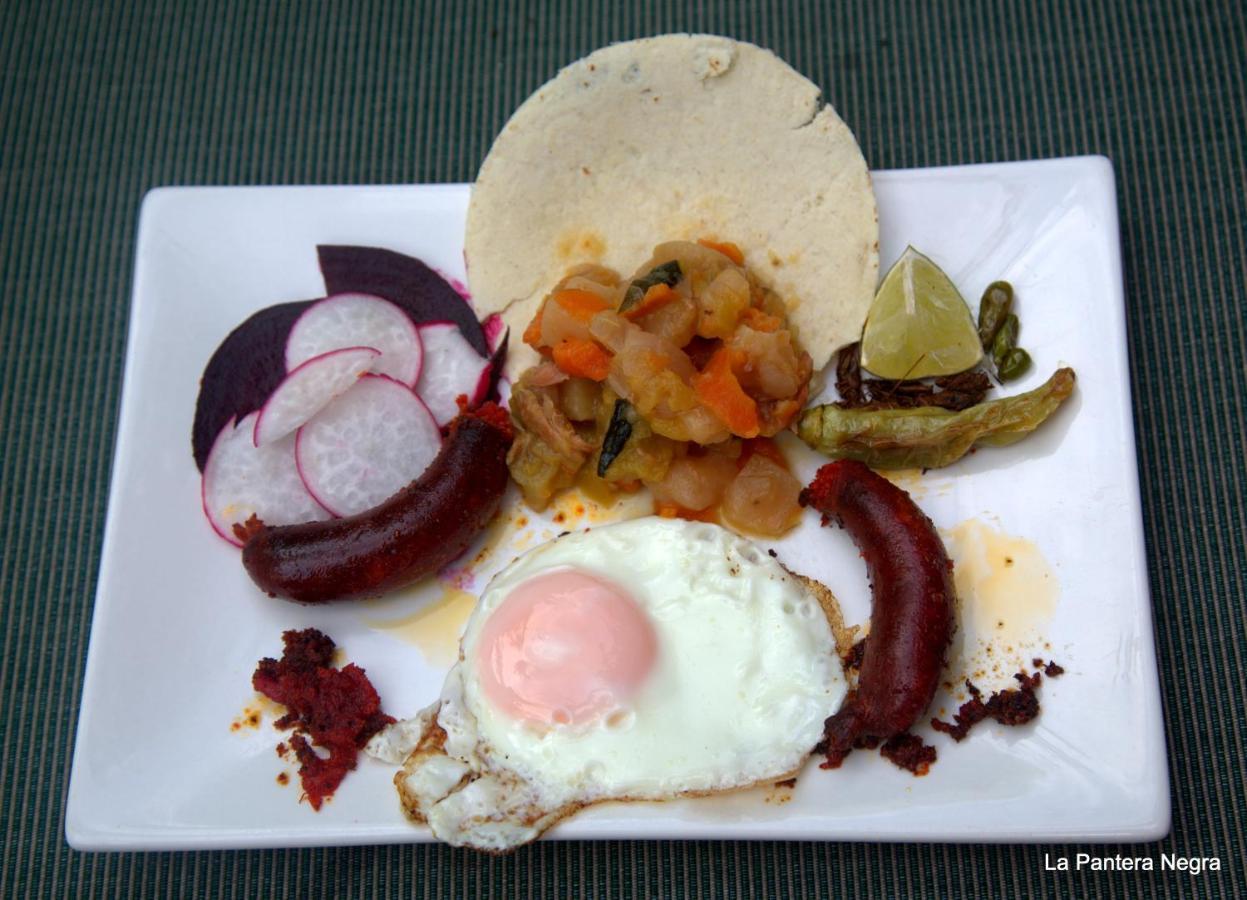 La Pantera Negra Bed & Breakfast Merida Exterior photo