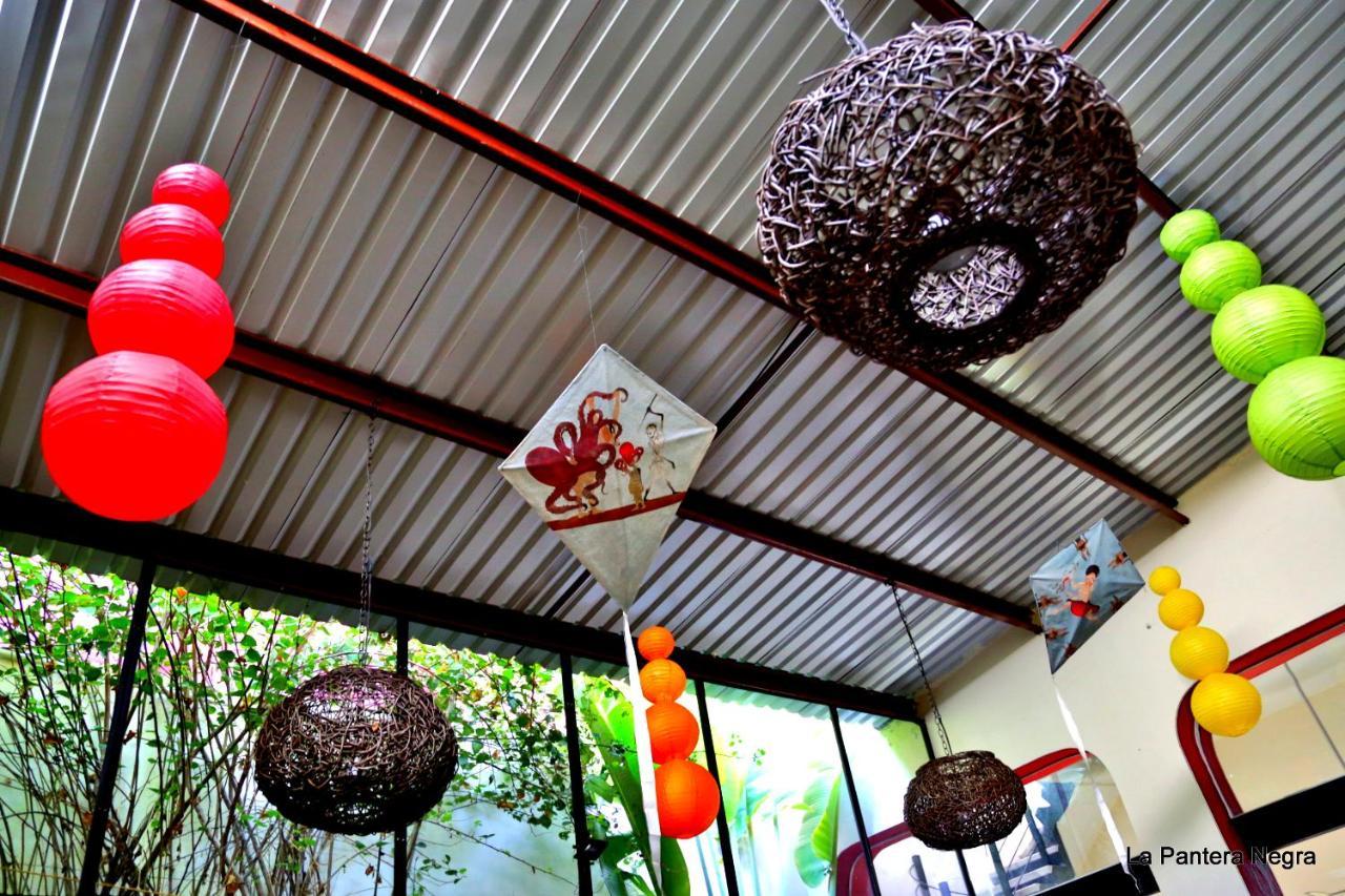 La Pantera Negra Bed & Breakfast Merida Exterior photo